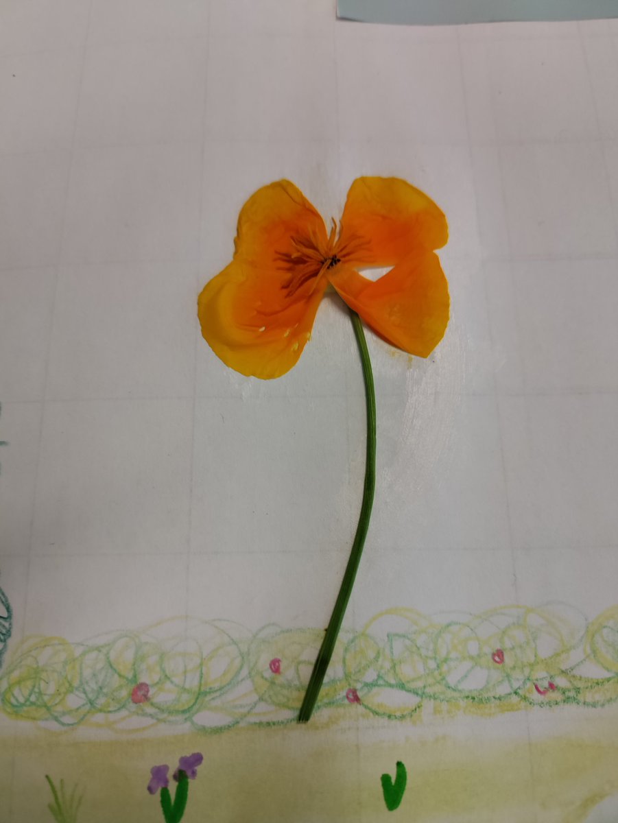 Irene Bos tweet media