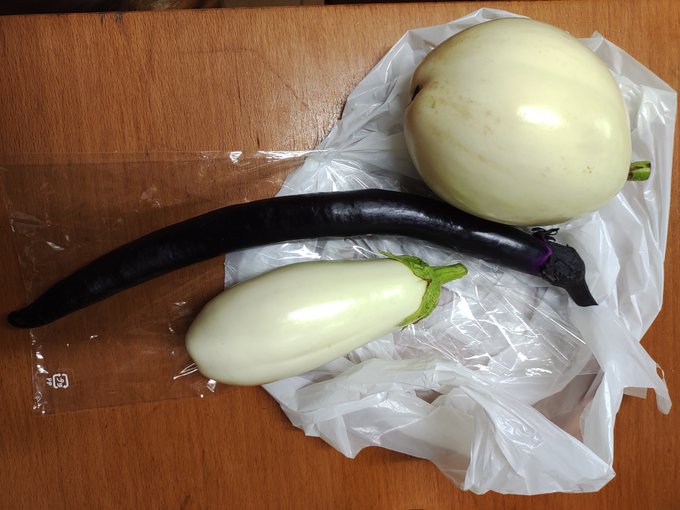 白茄子と紐茄子
もろた 