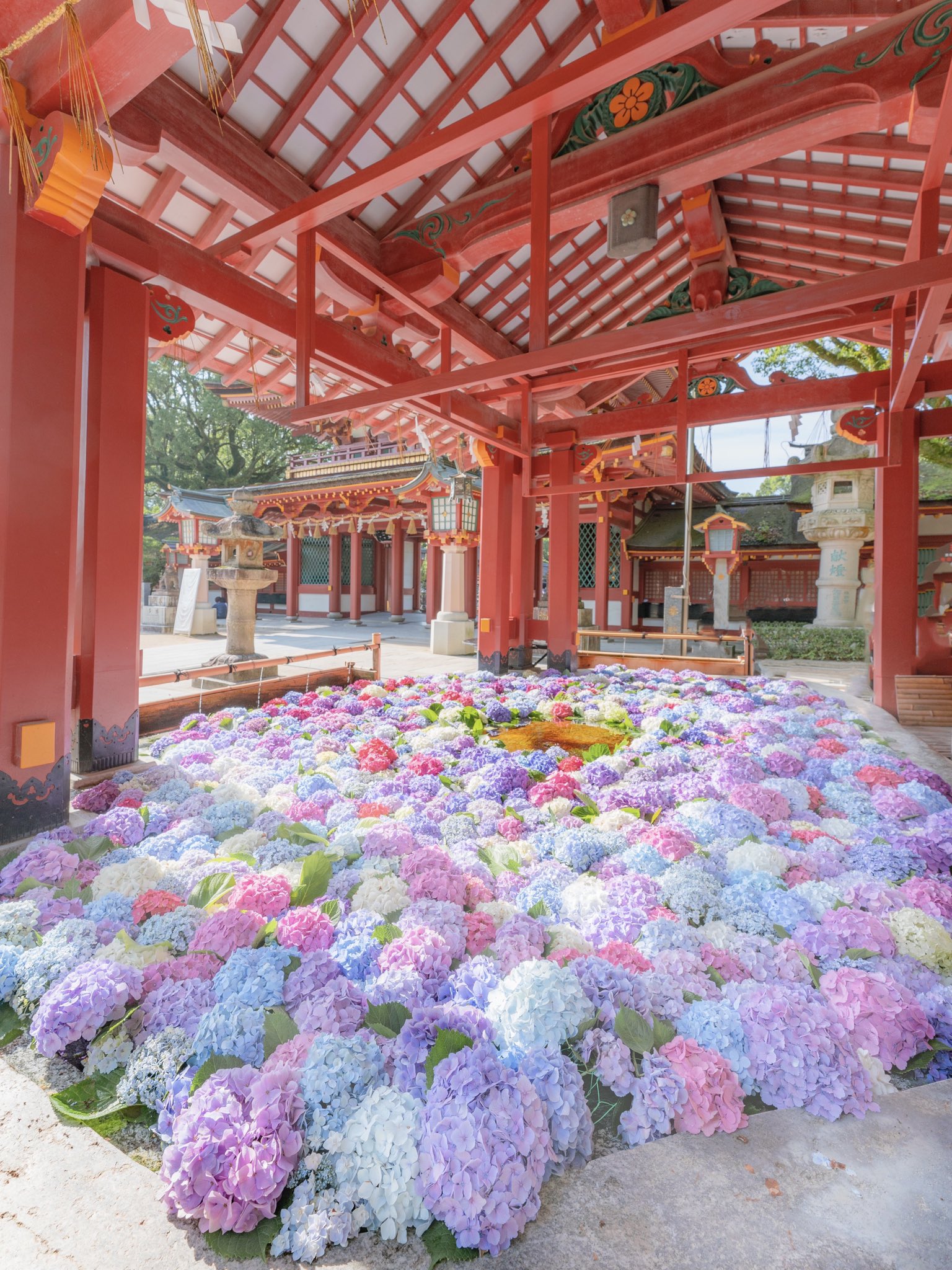 Neptuniandraws Freelance Illustrator Neptuniandraws Twitter