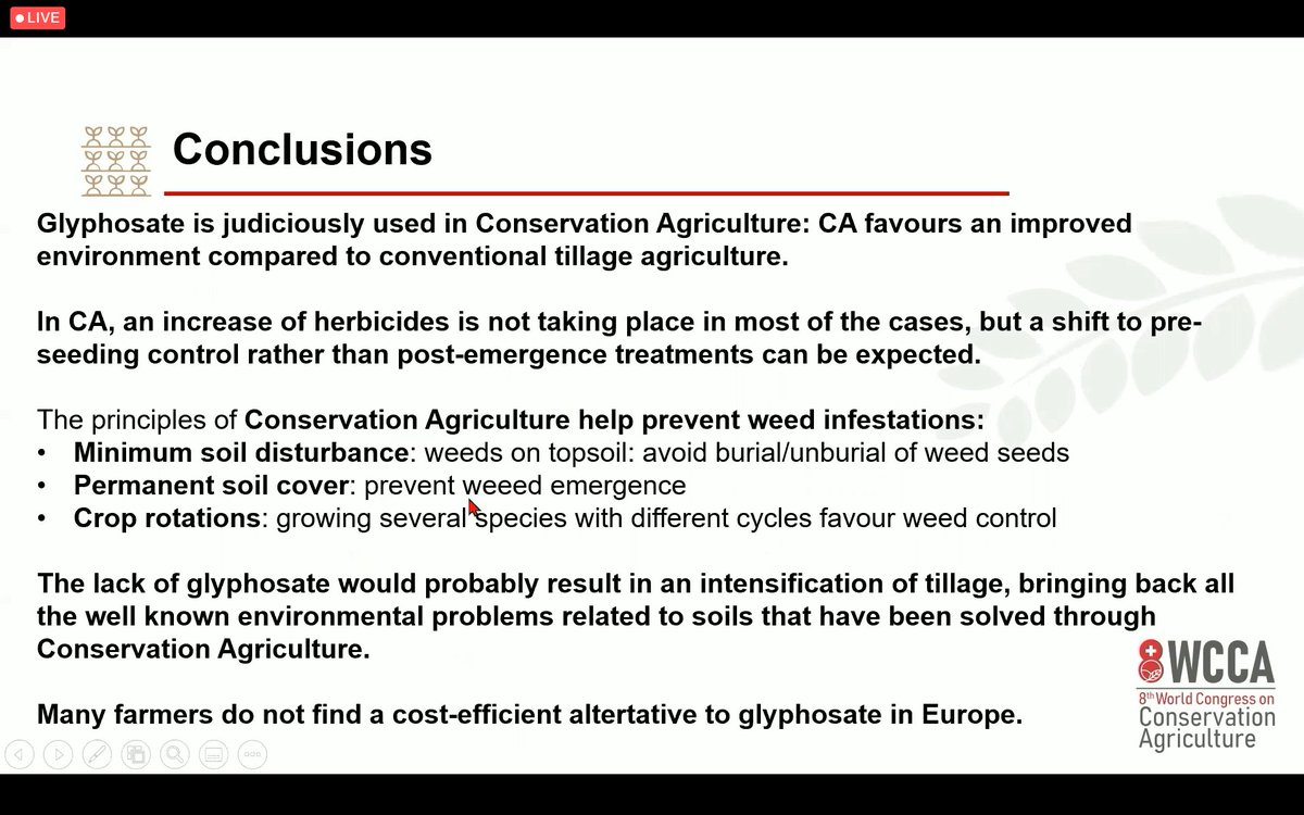 8WCCA (@8wcca) on Twitter photo Soil Cover Room.- <a href="/emiliojgs74/">Emilio González</a>:CA does not imply an increase in the use of glyphosate. It improves the environment where inputs are applied, minimizing any potential risks
#8WCCA
#ConservationAgriculture
#TheFutureOfFarming Soil Cover Room.- <a href="/emiliojgs74/">Emilio González</a>:CA does not imply an increase in the use of glyphosate. It improves the environment where inputs are applied, minimizing any potential risks
#8WCCA
#ConservationAgriculture
#TheFutureOfFarming