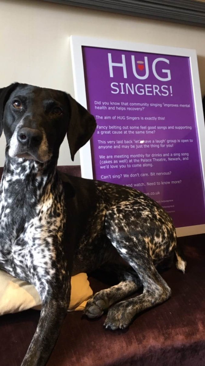HUGhelpusgrieve's tweet photo. Happy #BringYourDogToWorkDay everyone!

We're joining in with #DogsWorkingFromHome and sharing the HUG dogs of past and present.

We've been blessed with some fabulous therapy dogs over the years 🐶♥️ https://t.co/QlLfyHZCSh