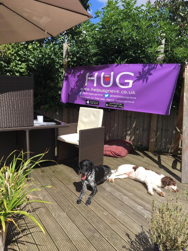 HUGhelpusgrieve's tweet photo. Happy #BringYourDogToWorkDay everyone!

We're joining in with #DogsWorkingFromHome and sharing the HUG dogs of past and present.

We've been blessed with some fabulous therapy dogs over the years 🐶♥️ https://t.co/QlLfyHZCSh