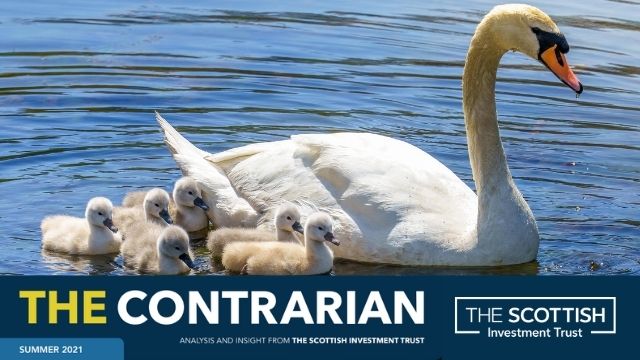 The Scottish Investment Trust PLC tweet media
