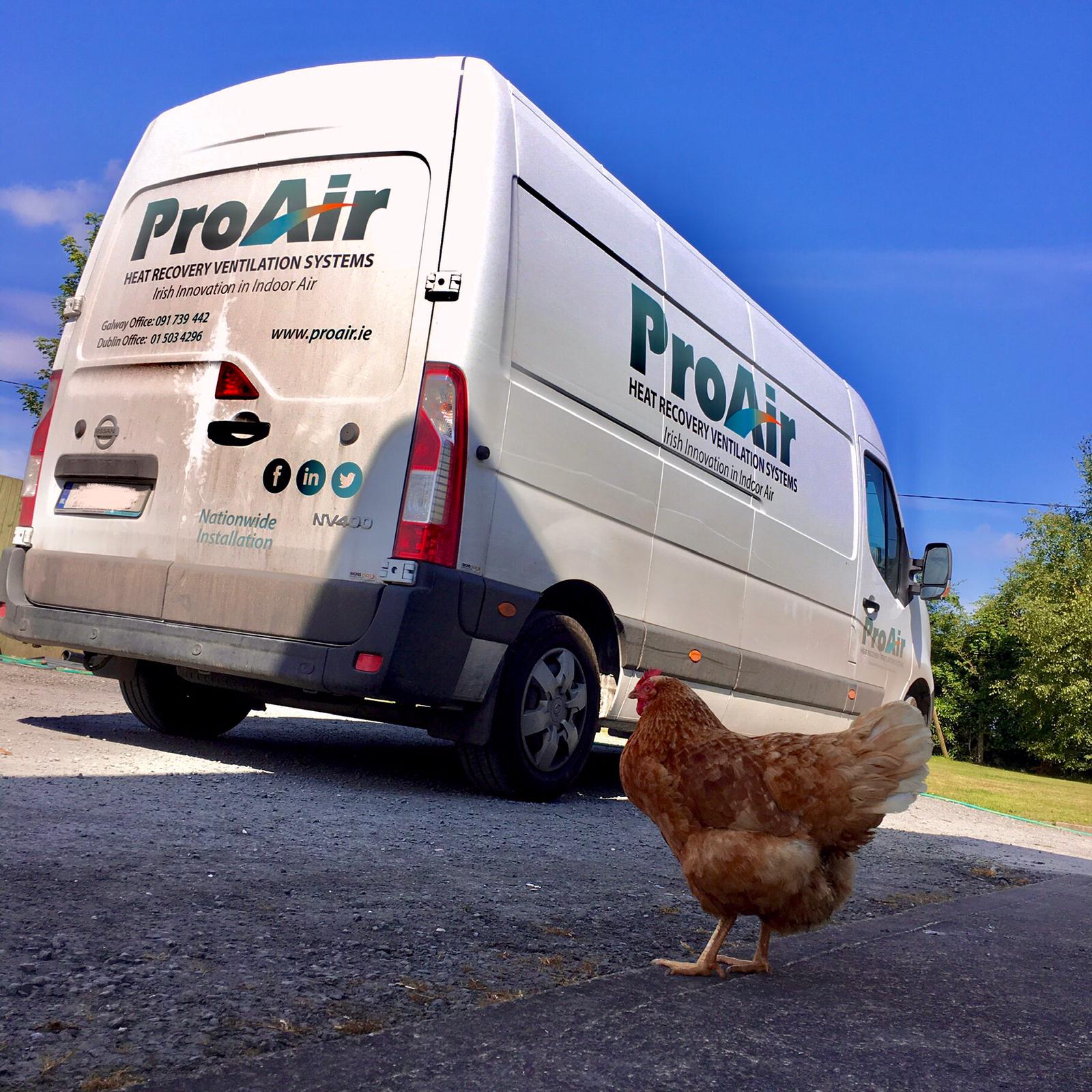 ProAir Systems on X: The new recruit #firstday #chickens  https://t.co/I8MZZDuO8C / X