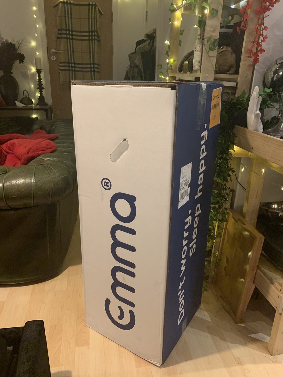 Oscar Conlon-Morrey tweet media