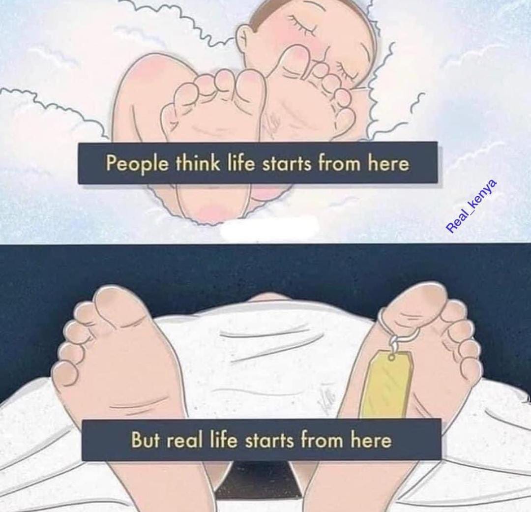 The real life