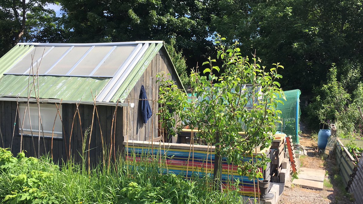 Mackcinn's tweet photo. Another glorious day at the allotment holiday shed of dreams 😍 #allotmentholiday #crackingflags https://t.co/xsE0OtQXlV