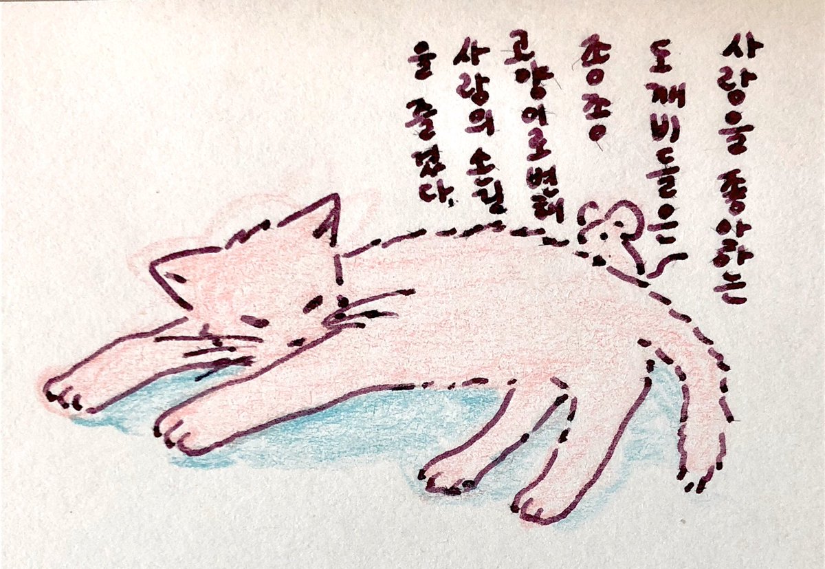 白十一 tweet media