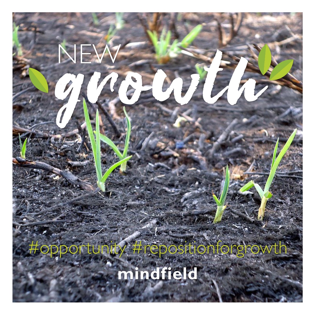 Even in an economic downturn, there are still a lot of opportunities. Book a zoom call for us to discuss how we can help you refocus for new GROWTH

#marketing #growthmindset #businessgrowth #entrepreneur #branding    #strategy #businessowner  #businessforgood #socialenterprise
