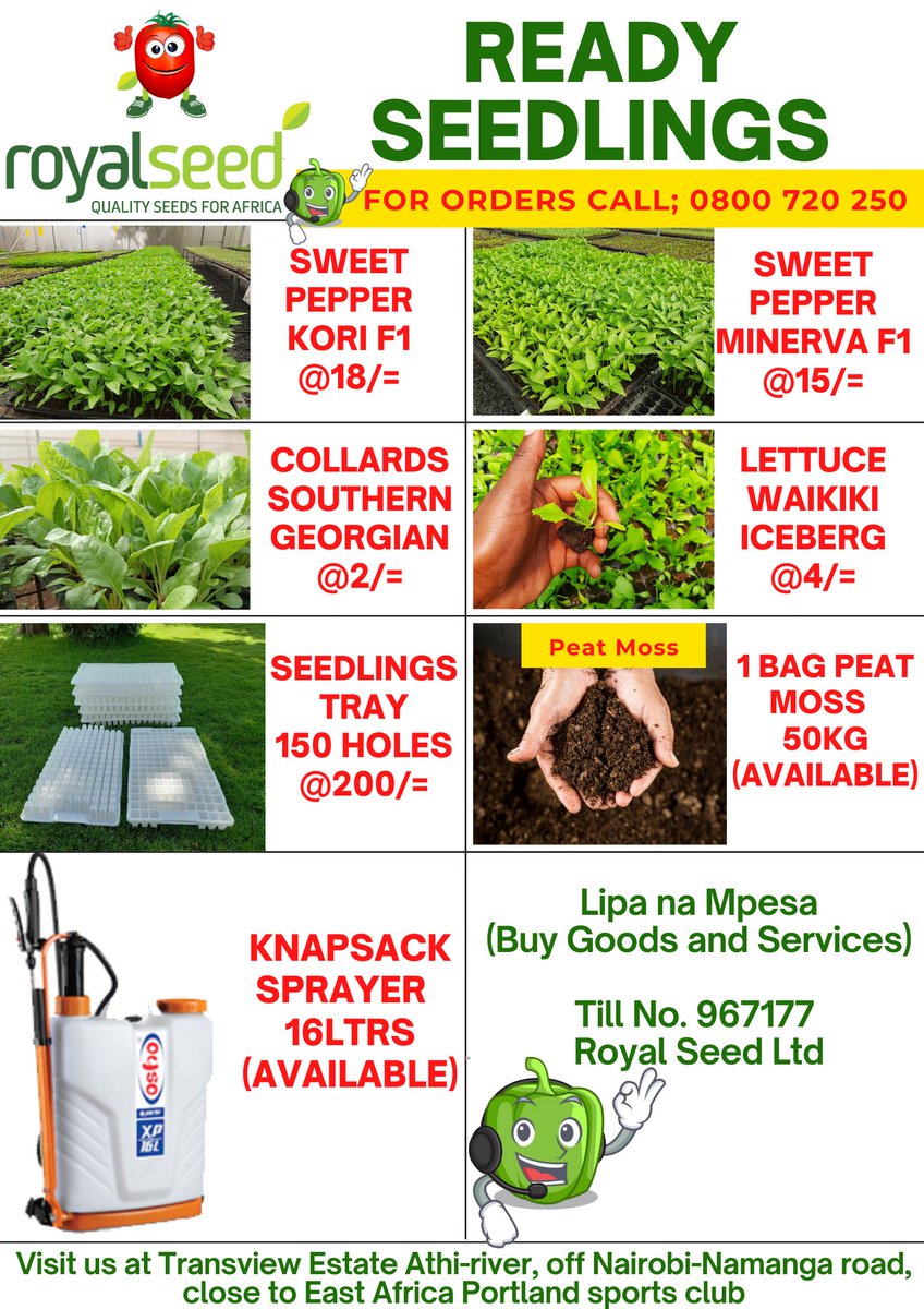 RoyalSeedKE's tweet photo. This #JOVIALJUNE Did you know that you can Order for  #Seedlings, #Peatmoss &amp; #Seedlingstray 
Book your Order today at the comfort of your home!
Let us deliver💯

Visit us at Transview Estate Athi-river, off Nairobi-Namanga road, close to East Africa Portland sports club https://t.co/iBwzmZ7xVD