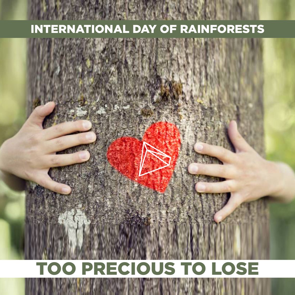 It’s #WorldRainforestDay! 
At <a href="/Chapman_Taylor/">Chapman Taylor</a> we celebrate together this day for a greener world.
We can save rainforests, preserving trees and forests foster global biodiversity and environmental conservation.  
#RainforestDay #Rainforest #Forest #Environment