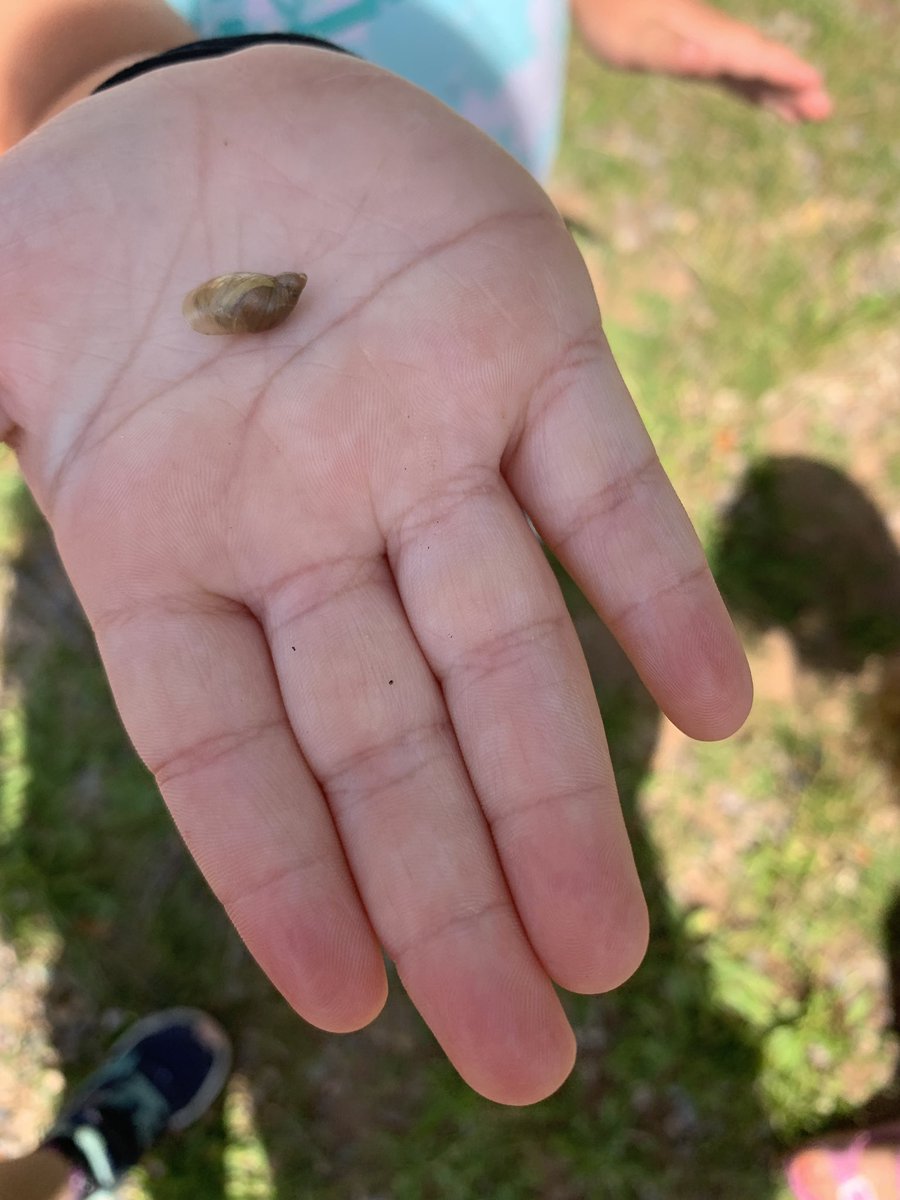 Ms. Mel SMES Pre-Primary tweet media