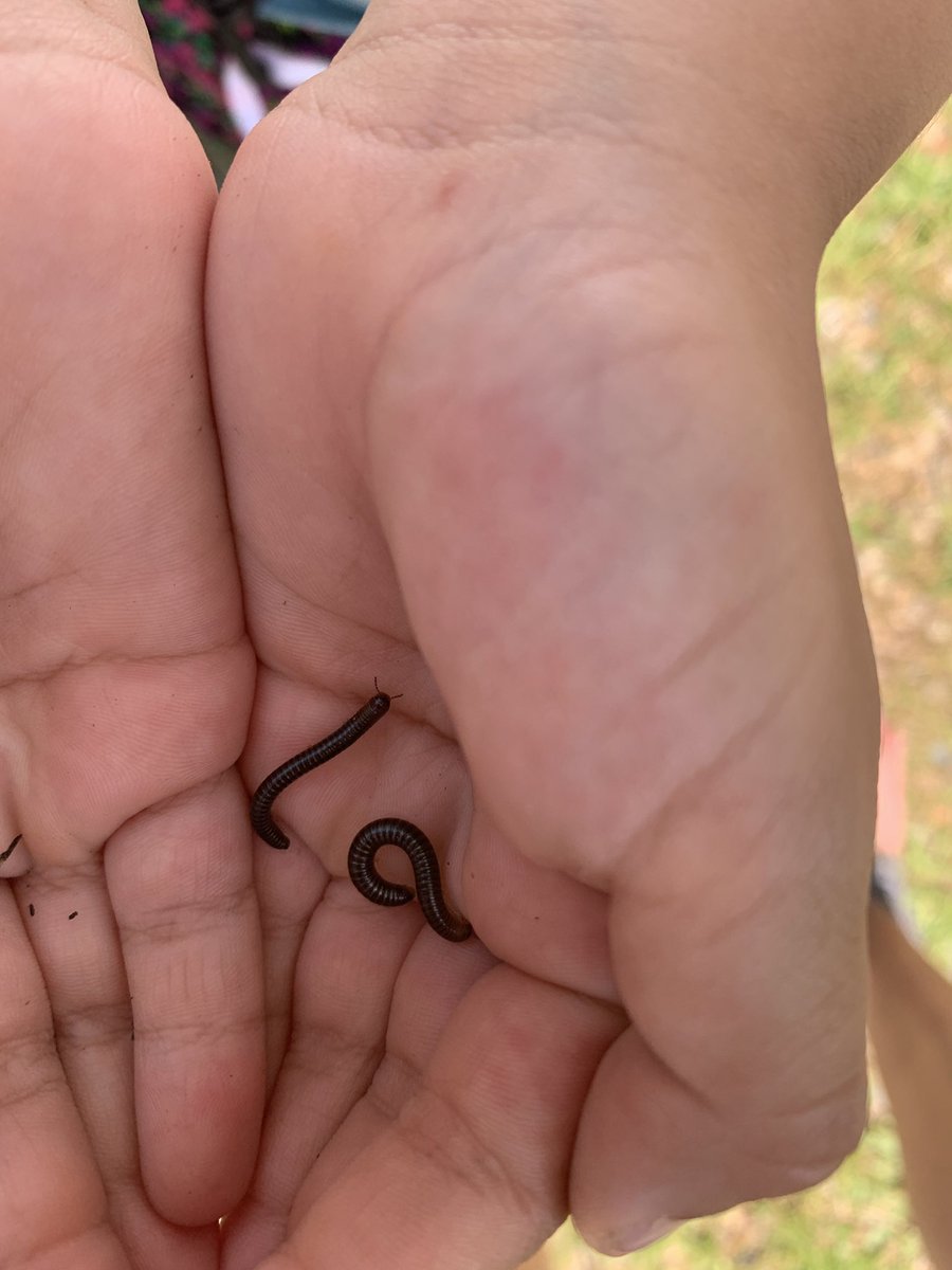 Ms. Mel SMES Pre-Primary tweet media