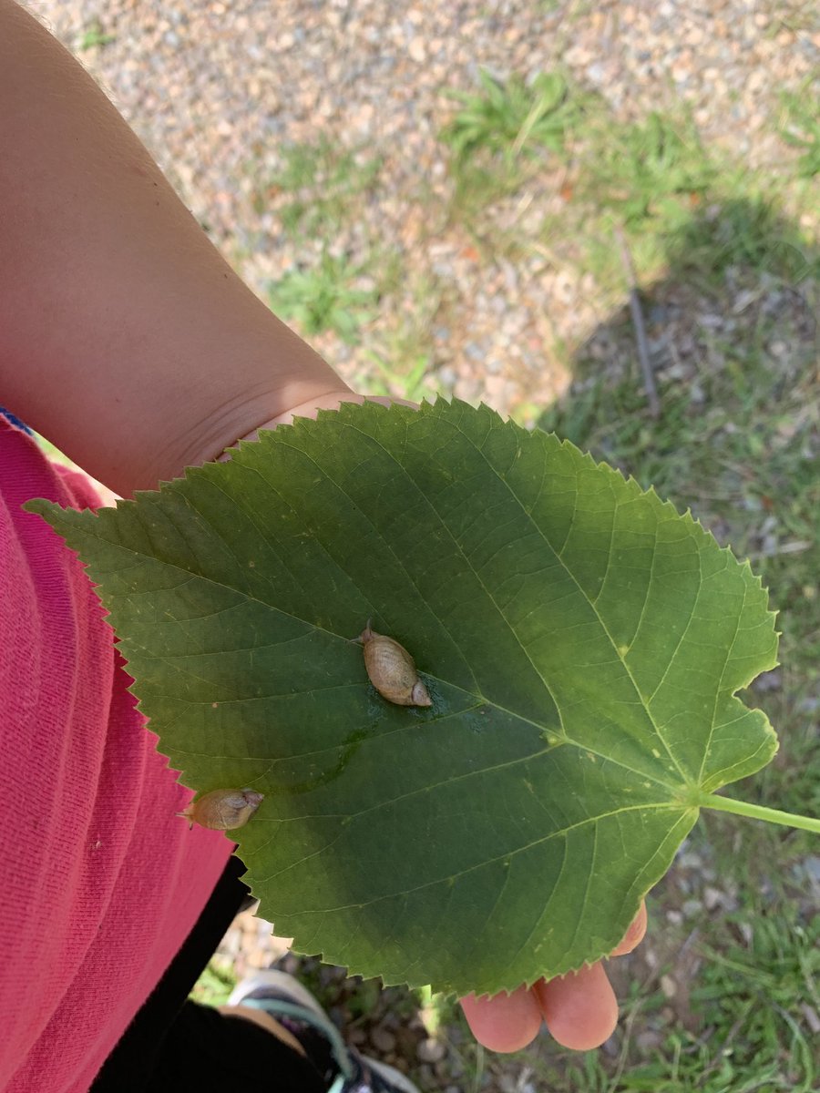 Ms. Mel SMES Pre-Primary tweet media