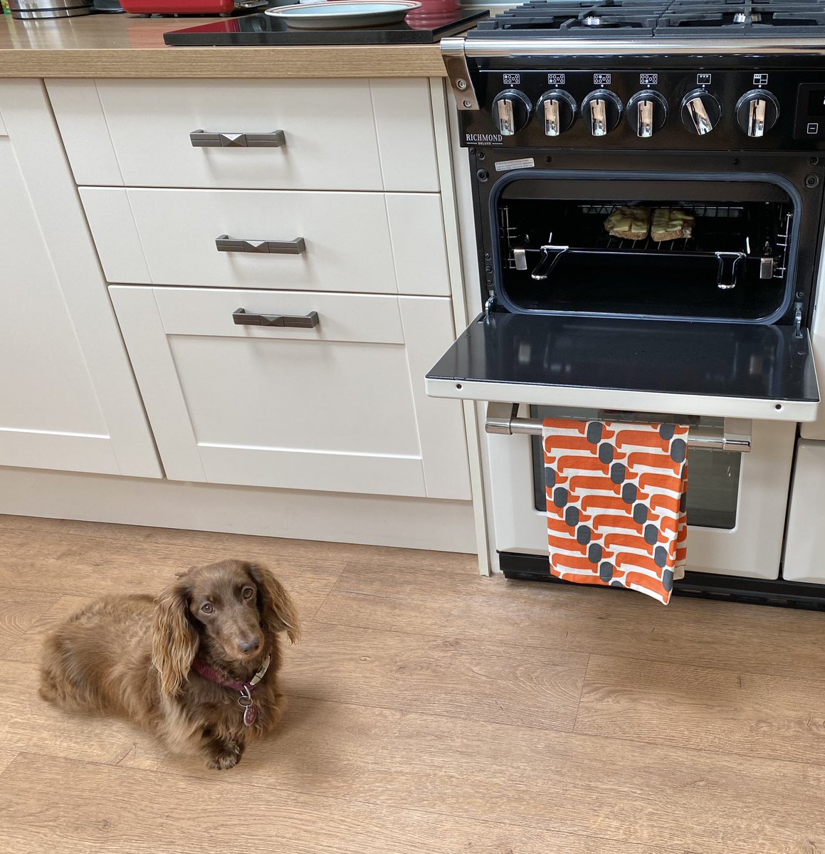 Mum is freezing today working from home (where has summer gone?) so she decided that some warming cheese on toast is just what she needs…..I have to say I’m very happy about this! 🧀 😋😋
