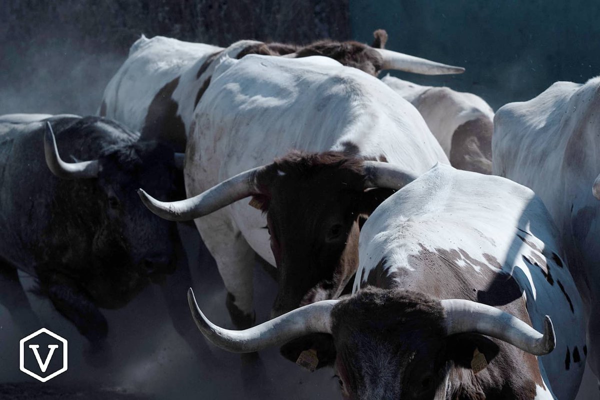 CASTELLÓN I ALLÁ VAMOS

#adolfomartin #castellon #embarque #24junio