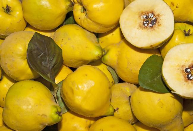 RevistaAlimenta's tweet photo. #CONSERVACION | Envases comestibles a partir de residuos agroalimentarios
🟡“Cocinar brócoli o espárragos sin tener que quitar el #envoltorio, ya que el film que los envuelve está compuesto por #nutrientes naturales con beneficios para la salud”
👉🏻 Link: https://t.co/2nJ9iYcbhV https://t.co/6z3K8FEOrv