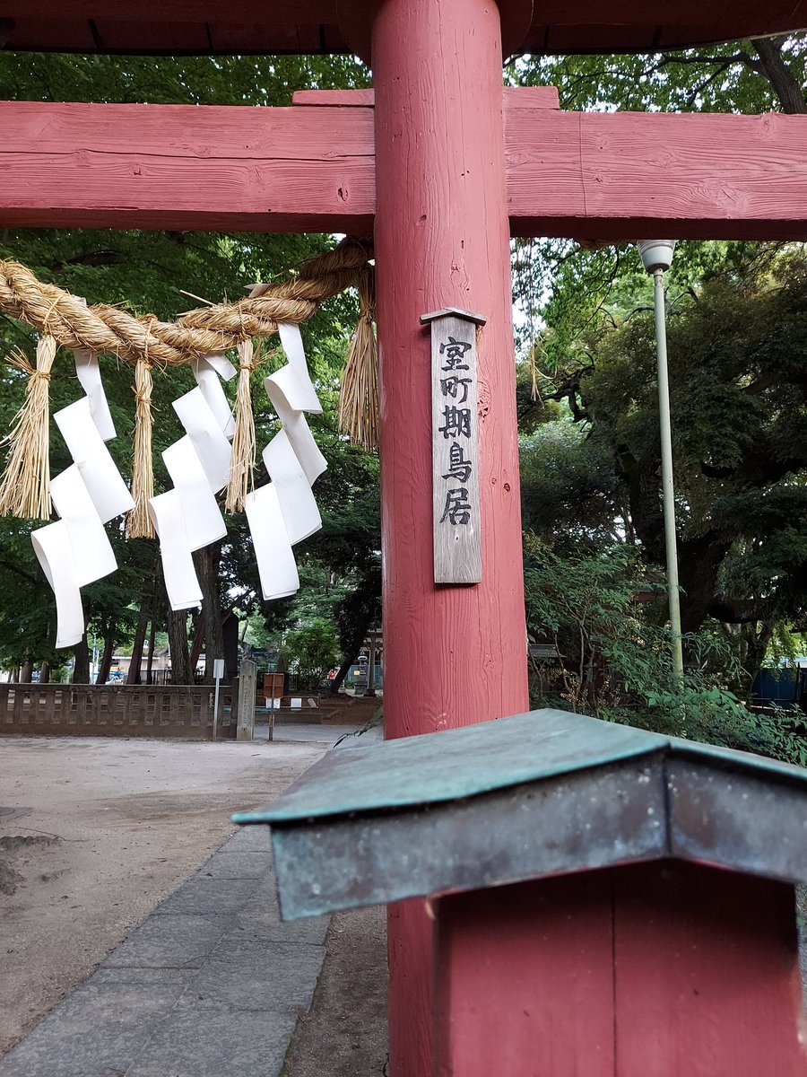 ちびすけ 浦和駅に程近い鎮守の森 本太氷川神社 ソロの木が立ち 涼しい境内 本太は元国府の施設があったとの由来や社殿に室町時代の建築記録が残る古社 図らずも上向き福徳神様に出会い その笑顔に前向きパワーをいただく