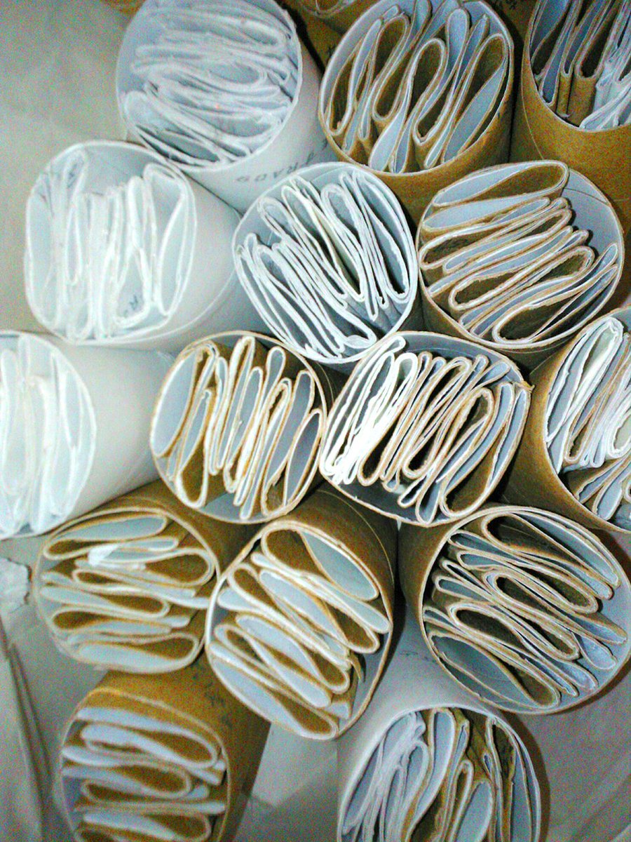 みんなトイレットペーパーの芯でゴルジ体作らないの ゴルジ体って何 源氏パイなら作ってる Togetter