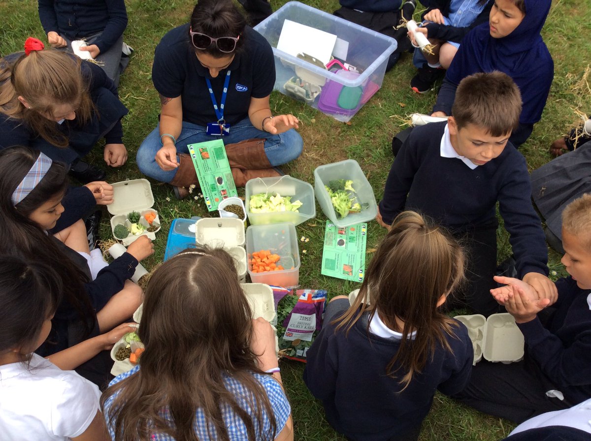 MrsGray82's tweet photo. @BartleyGreenWMP @QuintonWMP @RSPCAeducation thank you for another FANTASTIC morning, today we made a healthy lunch for the rabbits and some hay feeders for them to play with 😃 @paganelschool https://t.co/PUWs9fLiJD
