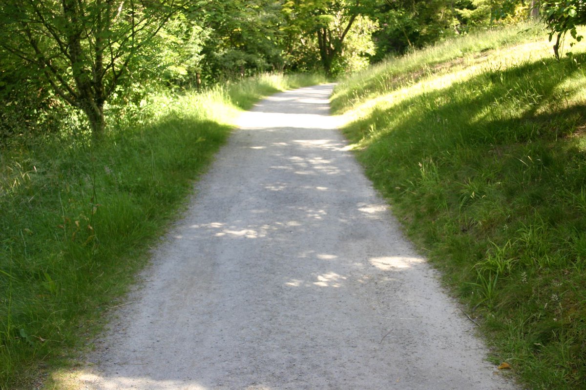 GreenfixUK's tweet image. For more information about the use of Geoweb® geocells for Tree Root Protection please contact Roy Partington via roy@greenfix.co.uk or on 07535698754. #treerootprotection #TPO #erosion #geocell #geoweb