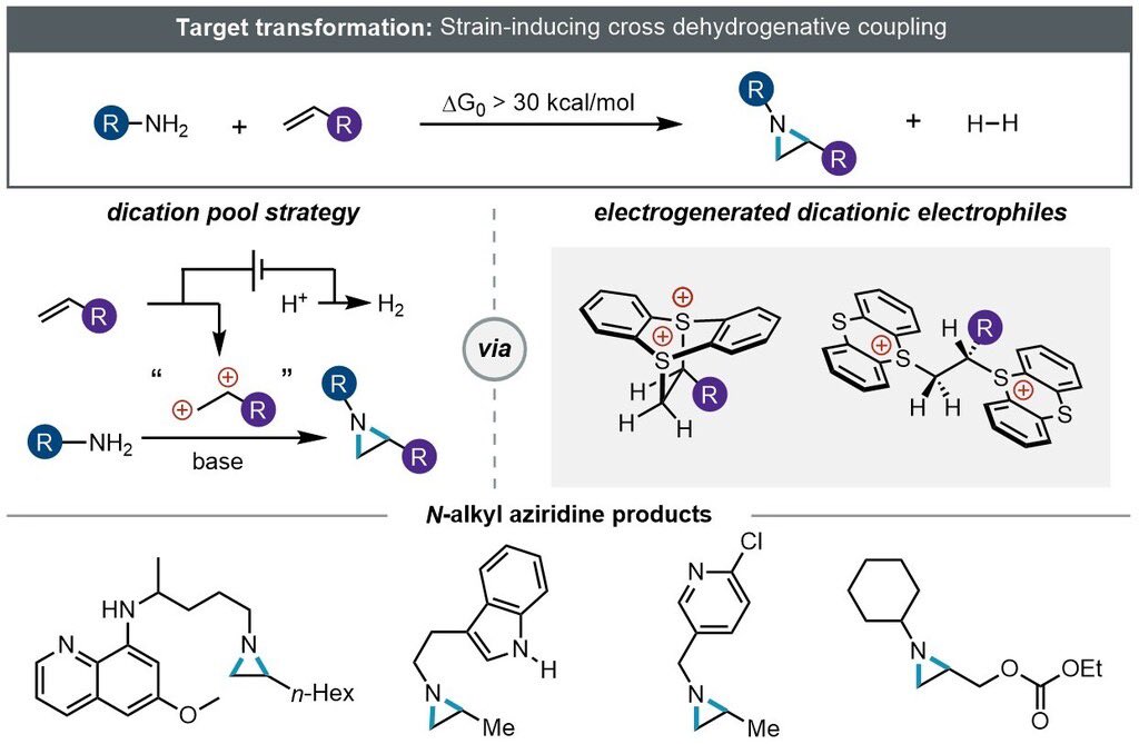 Wouldn’t it be nice if you could snap together an alkene and an amine to make an aziridine? Now you can! Check out our new electrochemical dication pool strategy to synthesize diverse N-alkyl aziridines by coupling amines and alkenes. Read now in @nature rdcu.be/cm0tV