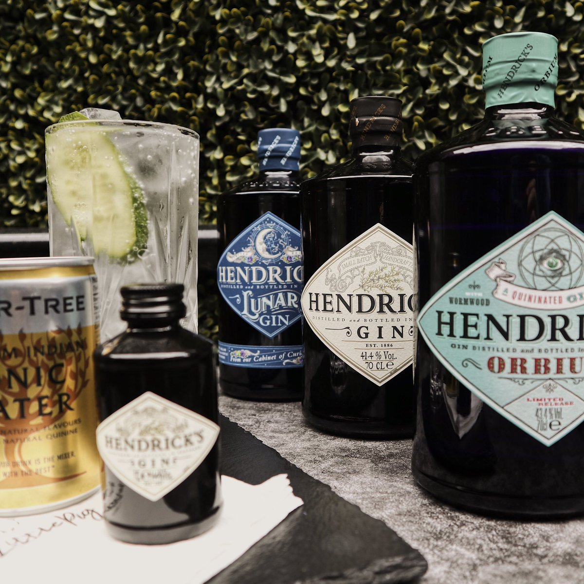 The Little Pig Speakeasy tweet media