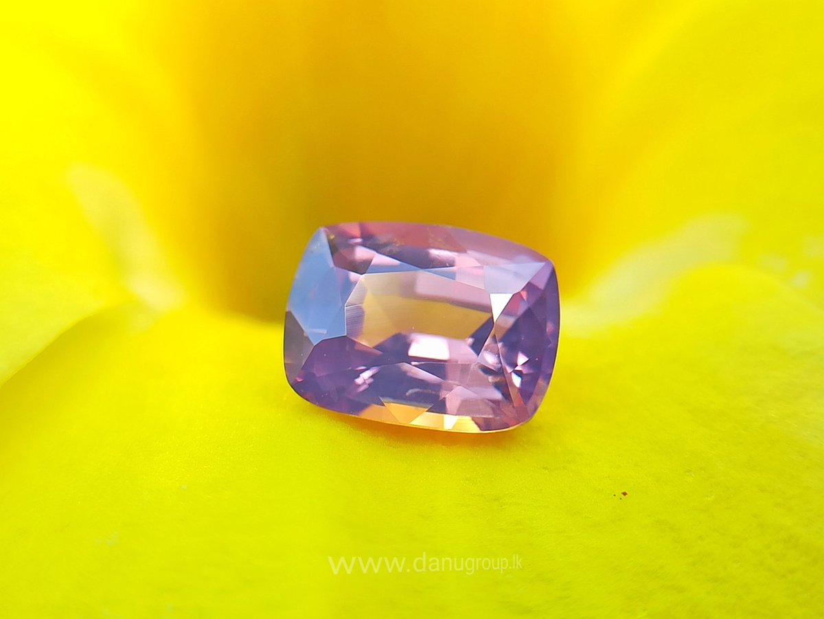 Ceylon Natural Purplish Pink Sapphire

It's symbolizing good fortune, power through hardships, intense love and compassion, and subtle elegance. 
 danugroup.lk/product/ceylon…

#pink #sapphire #purple #pinksapphire #engagementring
#ringdesign #jewelryideas #usa #japan #newtrend