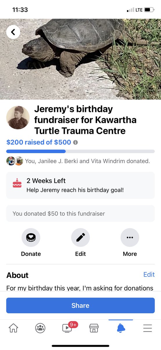 Rudy_jr45's tweet photo. @OntarioTurtleCC
Help me raise money for this turtle saving organization!
#Turtles #TurtleSavers #OntarioTurtles #OnAMission #SlowDown #ForTheTurtles #Donations #Charity #BirthdayWish #Haliburton https://t.co/4Er3WDyuC1