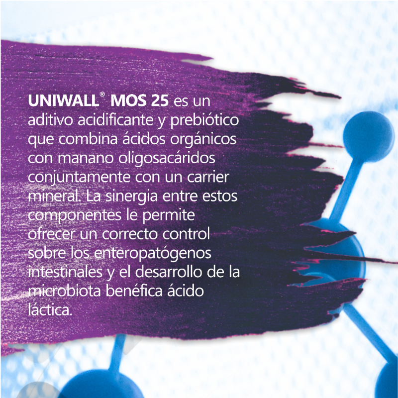 aviNews_Latam's tweet photo. UNIWALL® MOS 25
¡La sinergia necesaria para la salud intestinal!
Uniwall® Mos 25 de #Vetanco es un aditivo acidificante y prebiótico que combina ácidos orgánicos con manano oligosacáridos conjuntamente con un carrier mineral.
#BVScience #nutricionanimal #saludanimal #vetanco