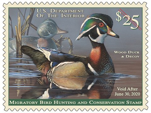 We are proposing to revise the Duck Stamp Contest Regulations and remove the requirement for the mandatory hunting element. We want to hear what you think about it through the public comment period that opens 6.23.21. Learn more: go.usa.gov/x6yRb