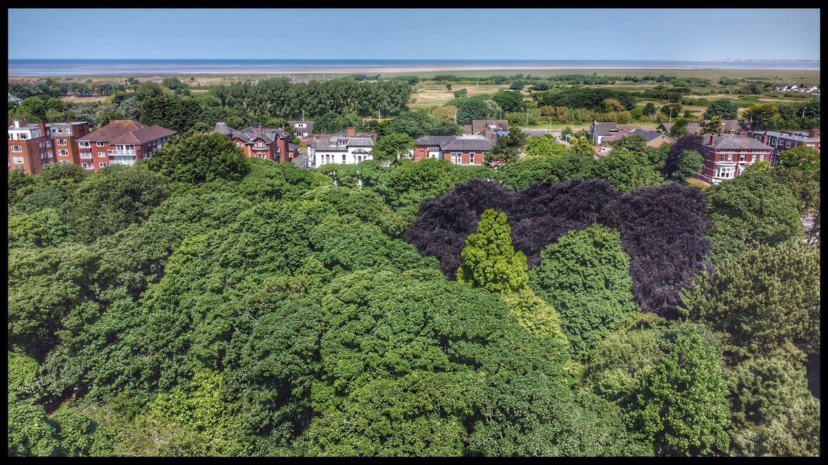 View looking over to <a href="/TheBplTower/">The Blackpool Tower</a> (top corner) from Hesketh Park crossing Southport Golf Course #golf #dronephotography #trees# sand #beach #blackpool
