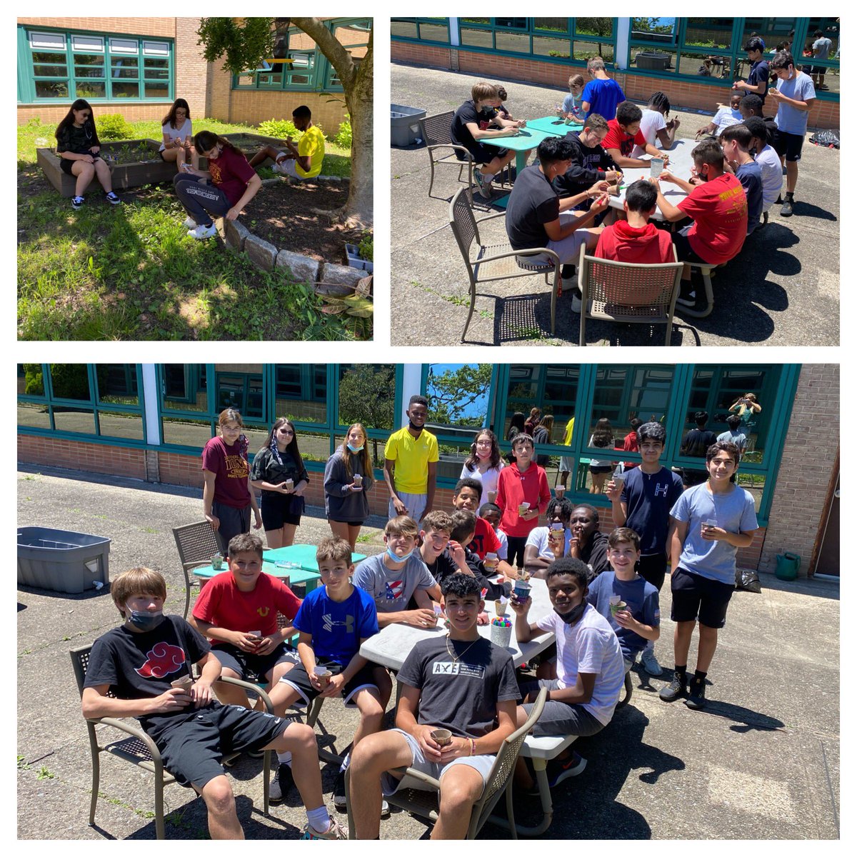 ALMSNewRo's tweet photo. Inspired by Paul Fleischman’s, Seedfolks, a novella about an urban community that comes together in-spite of their different cultures, beliefs &amp; languages to create a beautiful community garden. Mrs. Grisanti’s students designed their own planter, picked their seeds &amp; planted. https://t.co/PFpKj3O3u3