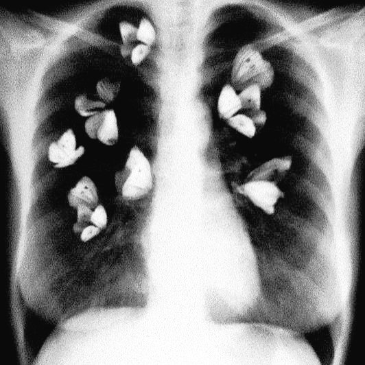 ღ.*･｡ﾟYØU HꓷⱯ M3 AT H̶E̶L̶L̶0 , SO D9N'T GIV3 U6 #⃠S3NY4I✧  ❇ 95​ ลฟตท