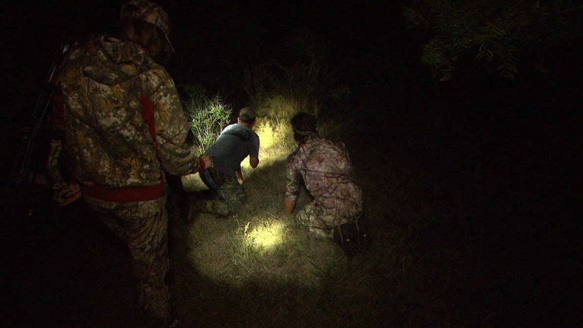 WTD_tv's tweet photo. Do you think you have blood trails and tracking figured out? Check our video on tracking whitetail and gets some tips on how to increase your chances of a successful recovery!
https://t.co/ElLWWNK9k2
#teamoutdoors #bassproshops #cabelas #trackingdeer #deerhunting #whitetail https://t.co/Vw7N2vcG9t