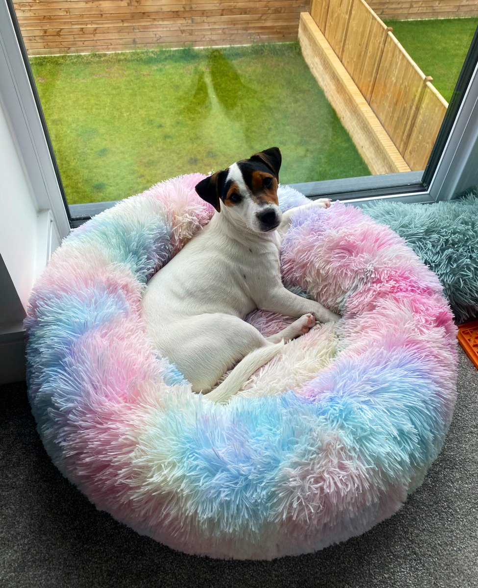 Jess_Security's tweet photo. My fave colleague (sorry to all the human ones 😂) https://t.co/D3cgZelbF6
