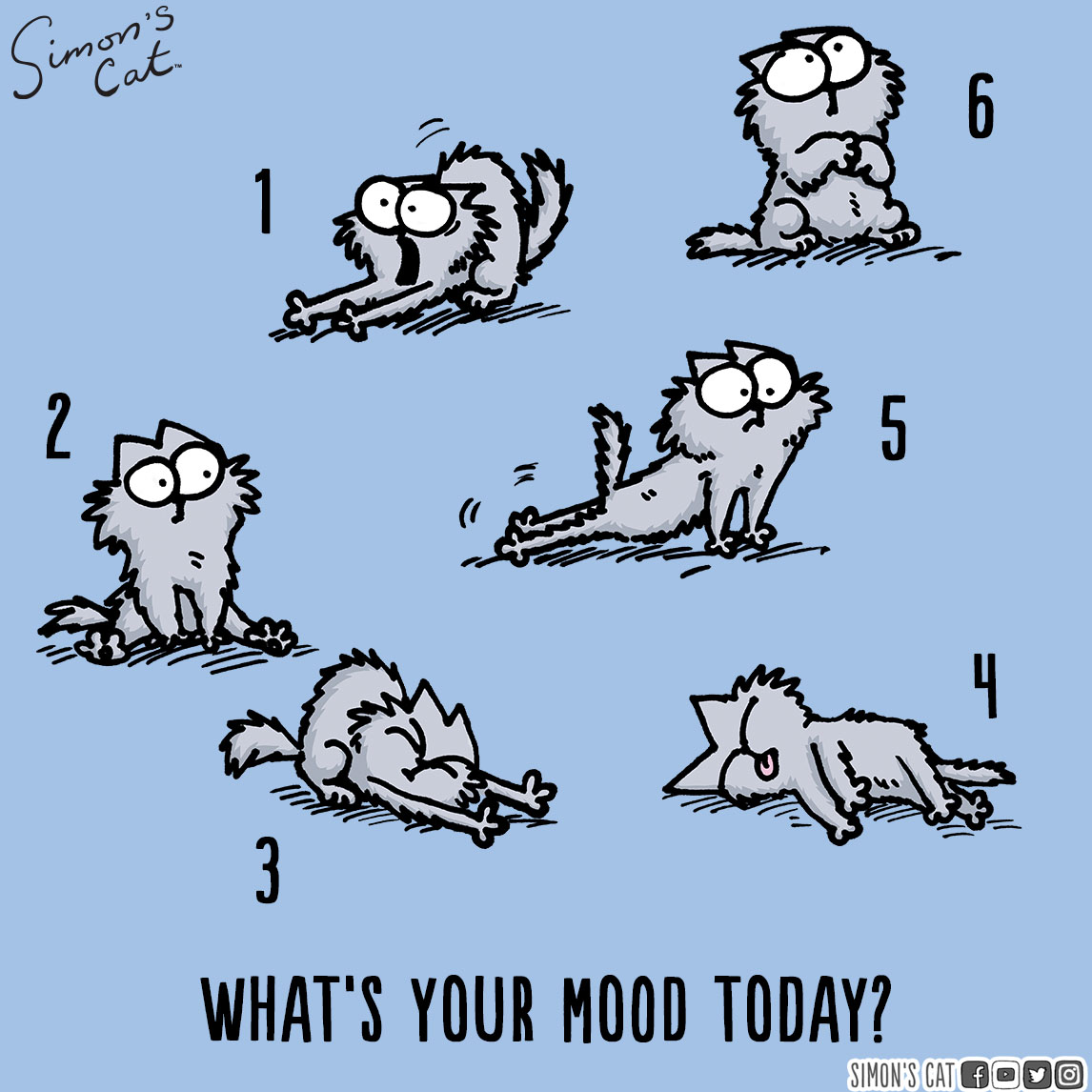 Simon's Cat 🐾 on X: What's your mood today?!