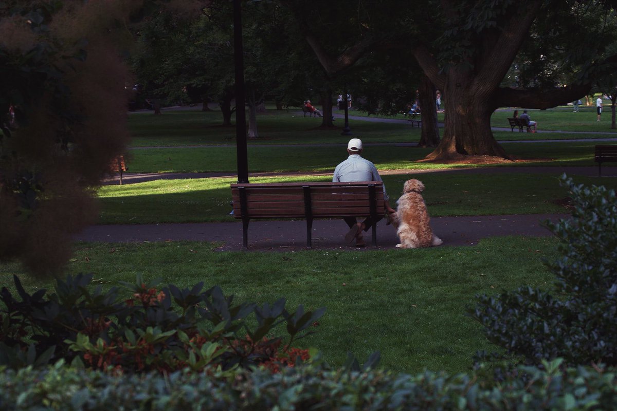 SwishWillis's tweet photo. this photo is from my first or second time out with a camera, I’ve always loved  this one - just a really wholesome shot and the fact he’s holding the dogs paw just makes it that much better to me https://t.co/RIBN1xFaBa