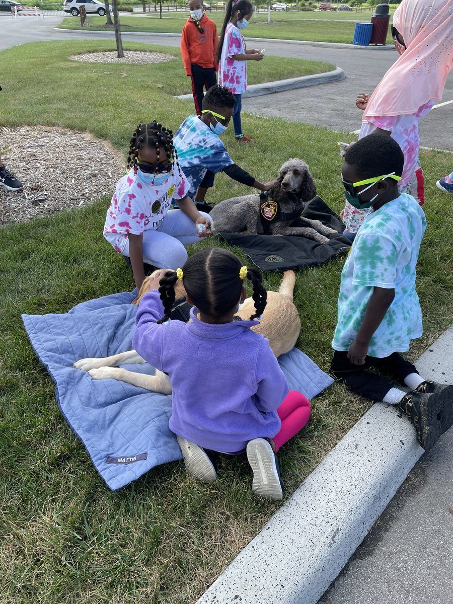 FCSO Crisis K9 tweet media