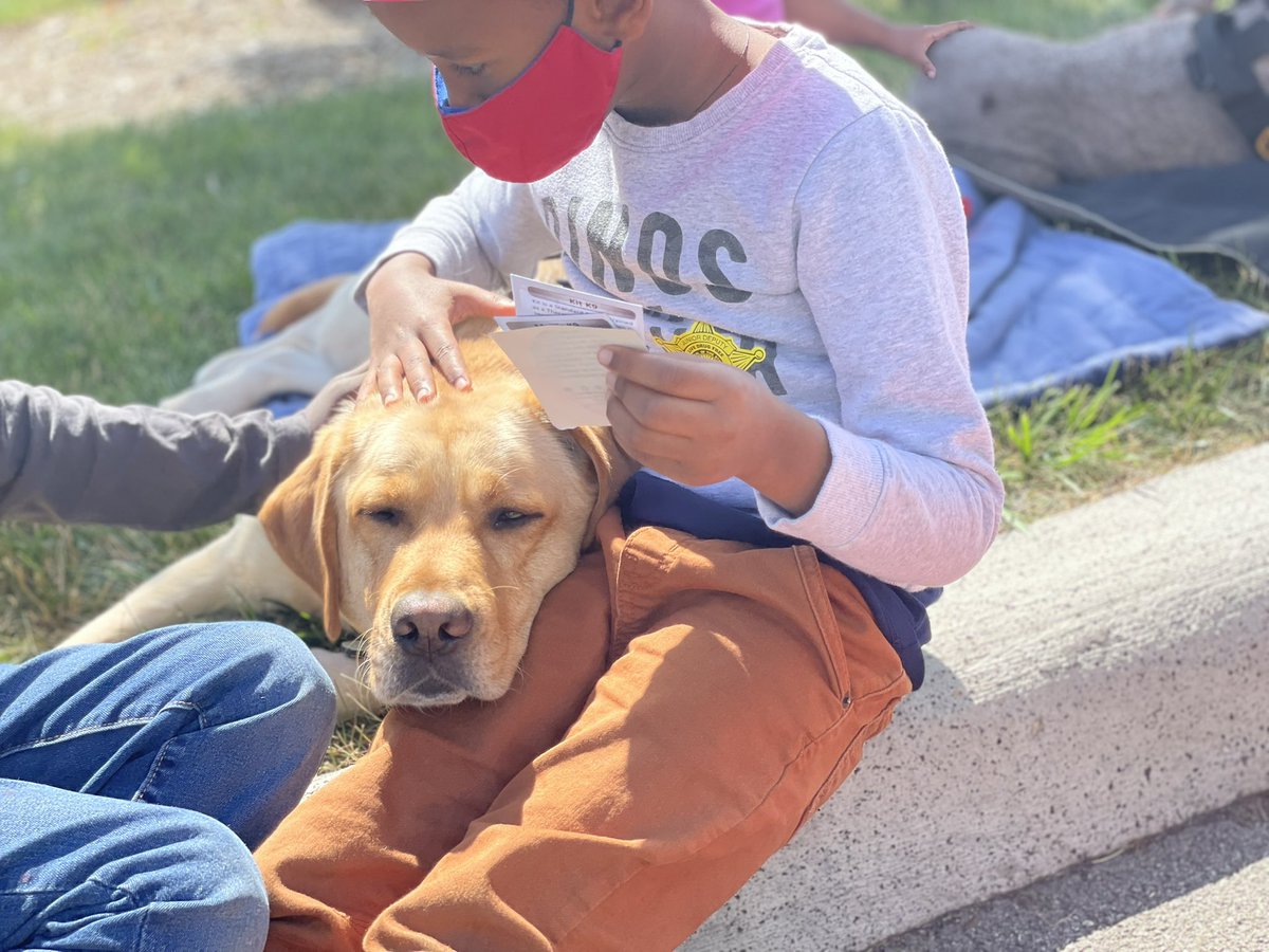 FCSO Crisis K9 tweet media