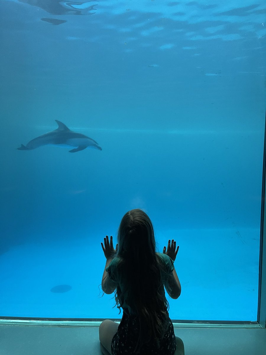 its_mee_Celeste's tweet image. it’s the views for me.🖤 #Tiny #Tinyadventures @shedd_aquarium