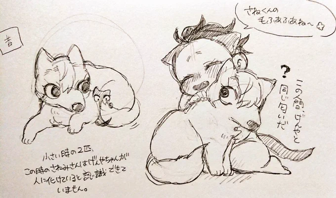 さねげん♀
※獣化注意!
🐶さねと🐱げゃ♀
人間になると素っ裸!!

過去と現在 