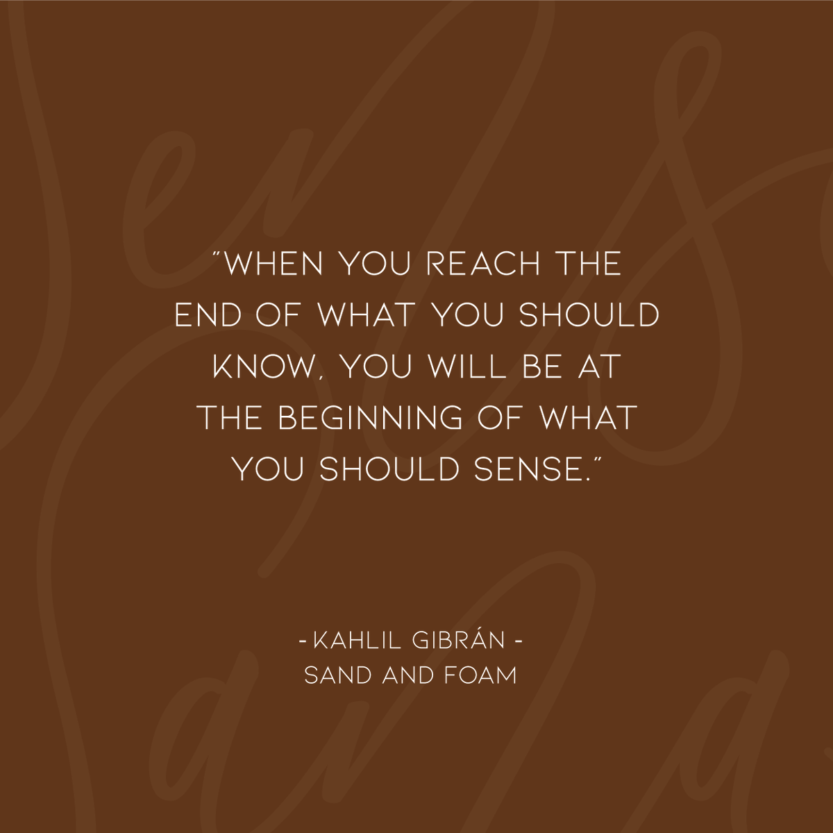 Sense_Sana's tweet photo. Love Reading? So do we! ~  We particularly resonate with this quote from one of our favourite authors. https://t.co/NufkkvPJpB
