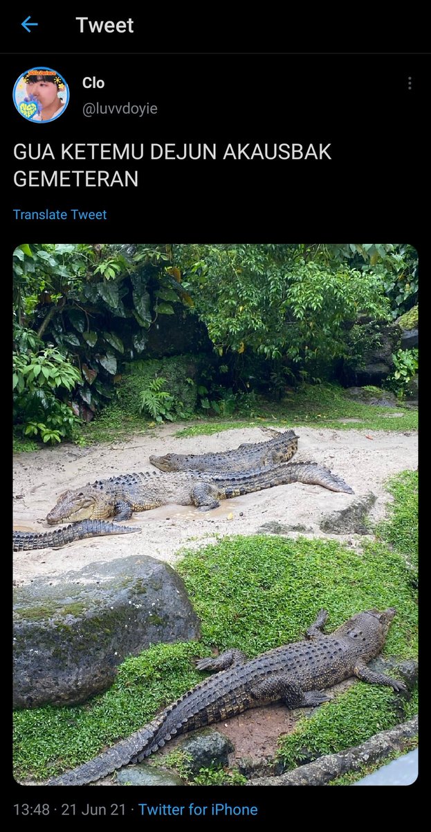 txtdaridreamstan tweet media
