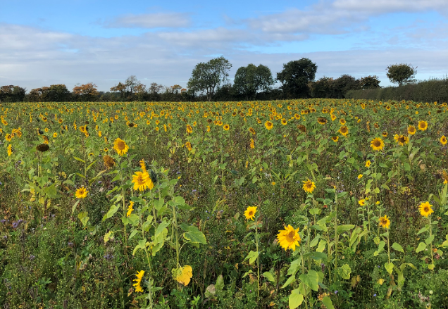Farm Carbon Toolkit tweet media