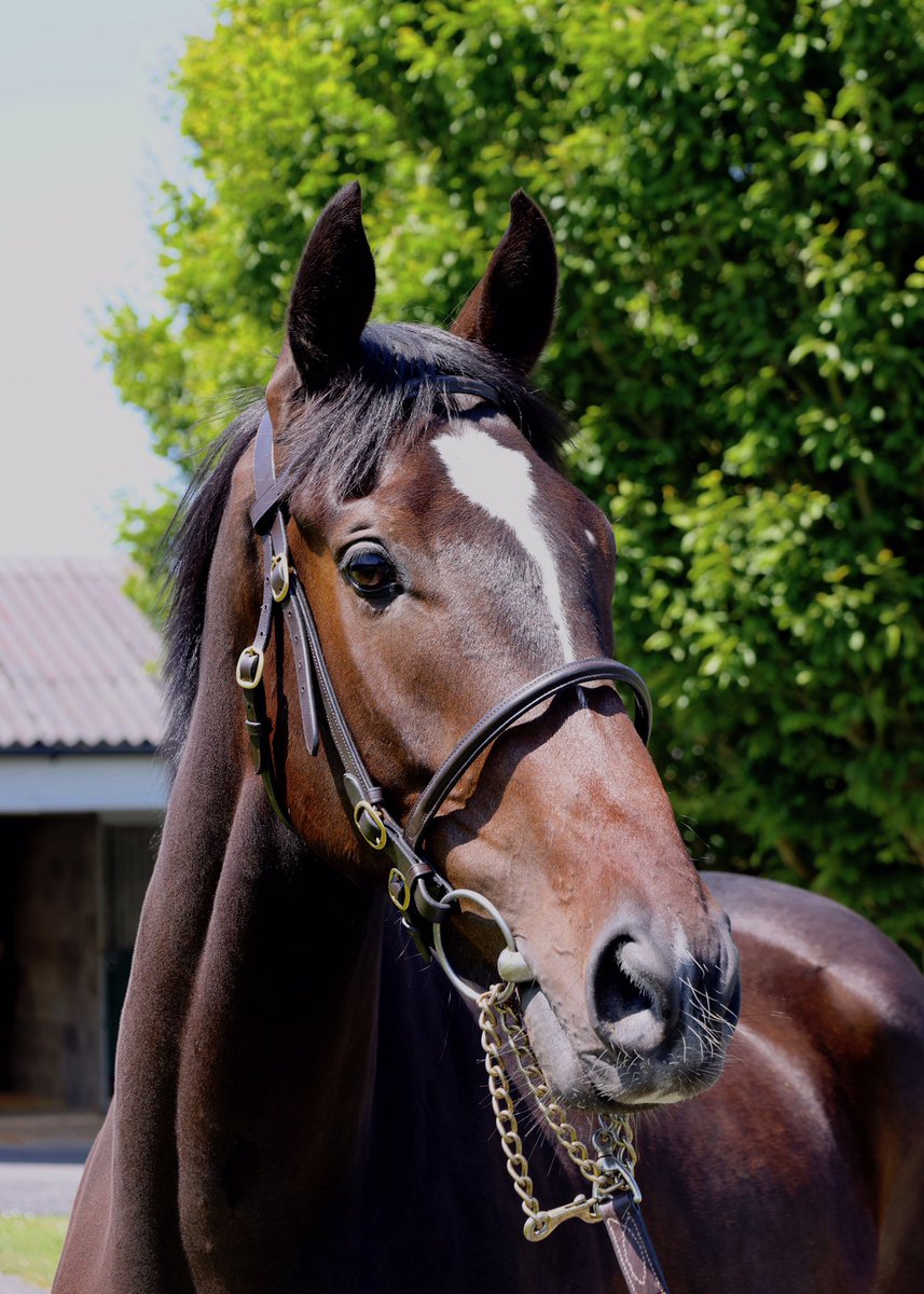 Jane Buchanan tweet media