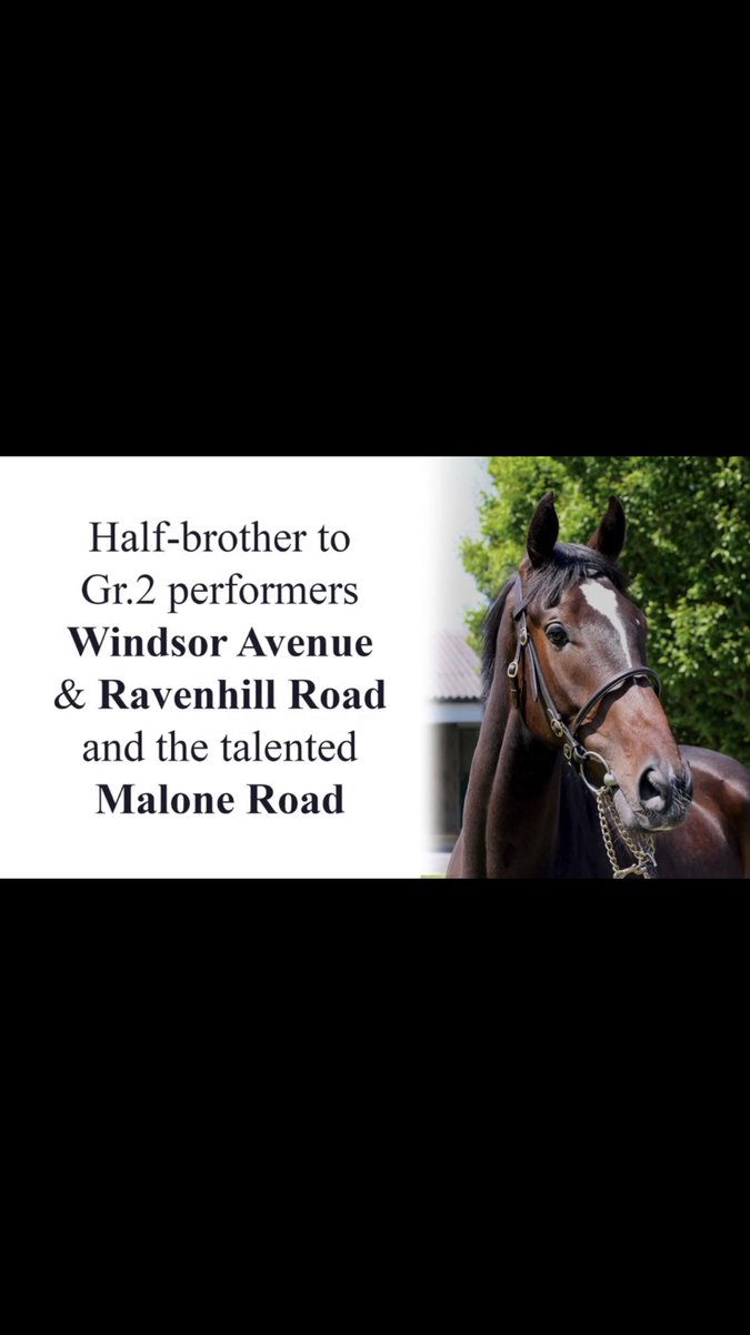 Jane Buchanan tweet media