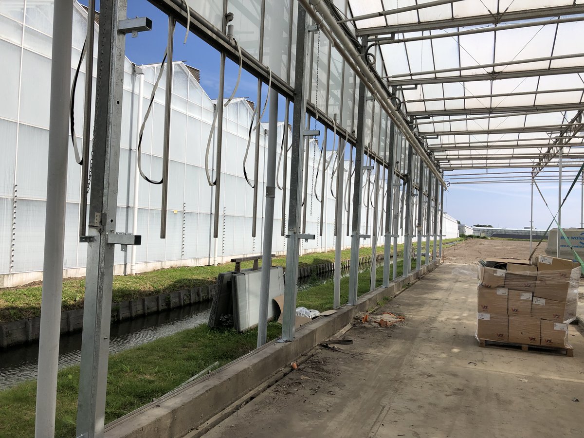TCvdDoolBV's tweet image. Dé specialist in verhogen van kassen, @TCvdDoolBV uit Maasdijk, heeft een kas van 6.855 m2 bij @NoordamPlants in ’s-Gravenzande verhoogd van 3.75 m naar 5.00 m. 
tcvddool.nl #duurzaamheid #renovatie #kassen #verhogen #westland #dakrenovatie #kasrenovatie.