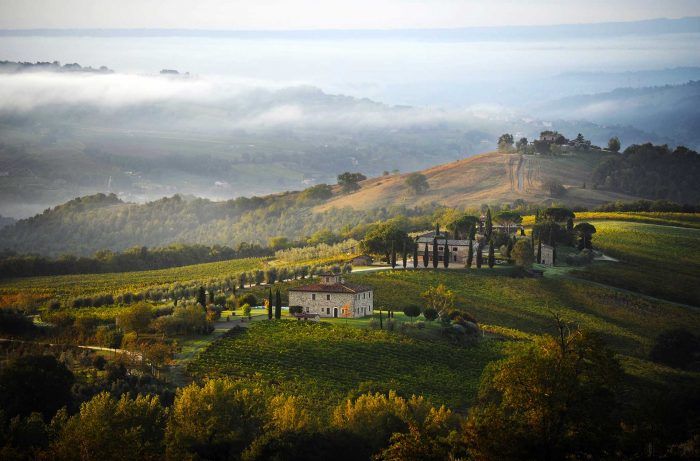 vineyardestates's tweet photo. Elegant and Crisp: The Indigenous #WhiteWine Grapes of Central #Italy @WineEnthusiast https://t.co/Ww6o0SKo9w today’s quality-minded producers make elegant, focused white wines that should be on every wine lover’s radar. #whitewine #italianwine https://t.co/Jcy0E0aol6