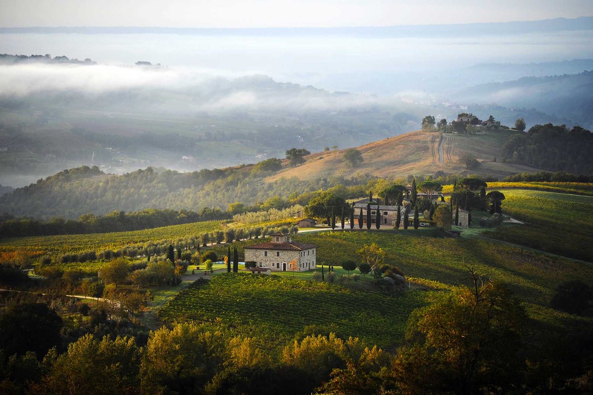 vineyardestates's tweet photo. Elegant and Crisp: The Indigenous #WhiteWine Grapes of Central #Italy @WineEnthusiast https://t.co/Ww6o0SKo9w today’s quality-minded producers make elegant, focused white wines that should be on every wine lover’s radar. #whitewine #italianwine https://t.co/Jcy0E0aol6